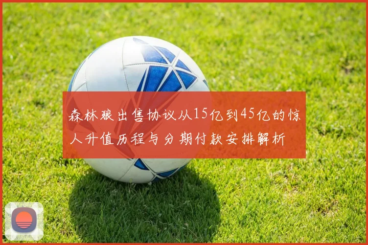 森林狼出售协议从15亿到45亿的惊人升值历程与分期付款安排解析
